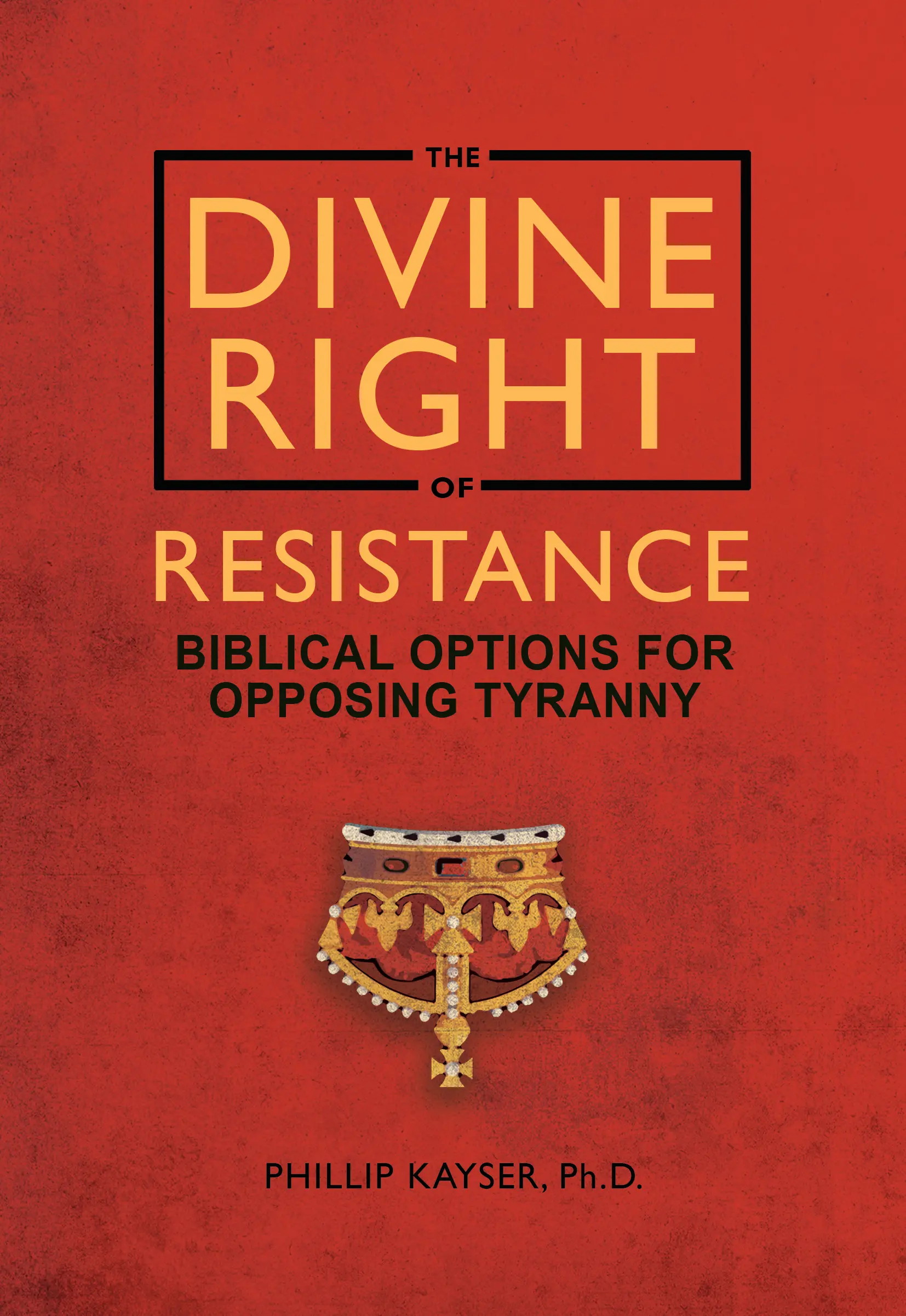 Cover for Divine Right of Resistance